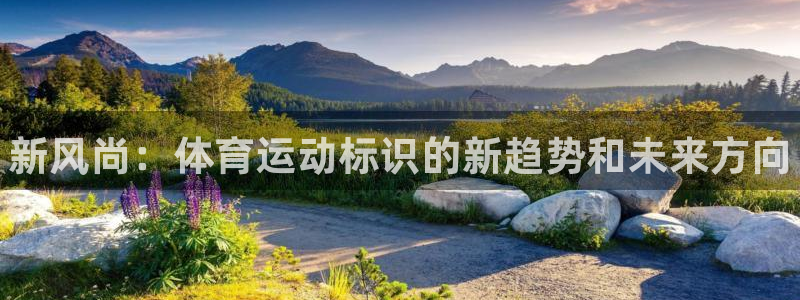 米兰体育官网下载平台假的吗是真的吗吗:新风尚:体育运动标识的