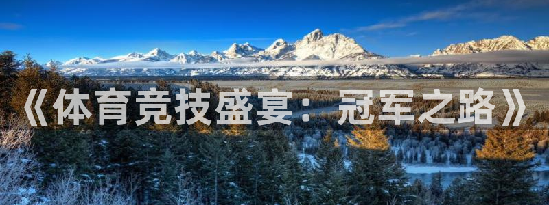 米兰体育官网下载平台APP:《体育竞技盛宴:冠军之路》