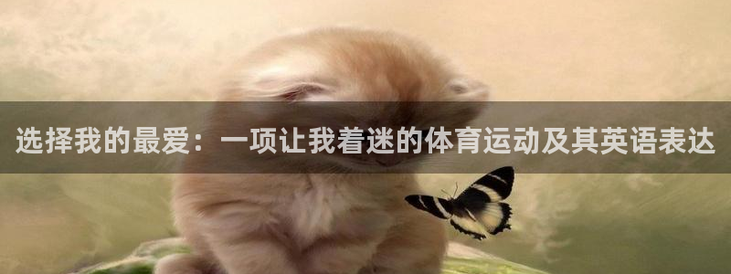 米兰体育官方正版app集团简介:选择我的最爱:一项让我着迷的