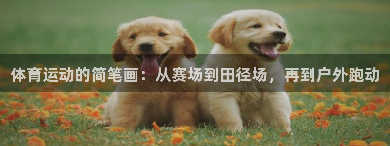 米兰体育官网下载注册:体育运动的简笔画:从赛场到田径场,再到